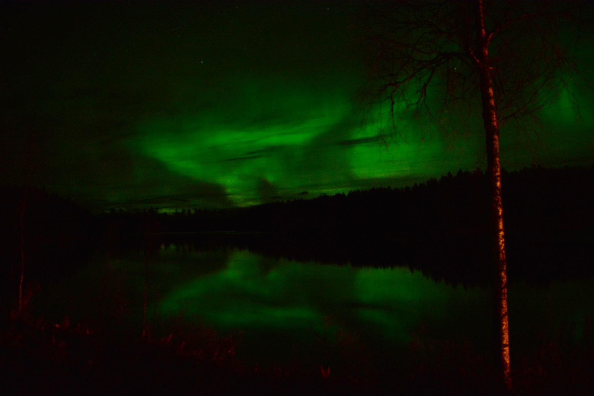 Northern Lights at Wilderness Life