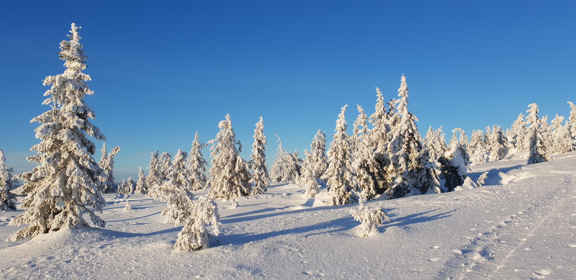 Schmuck Kurse in Lappland