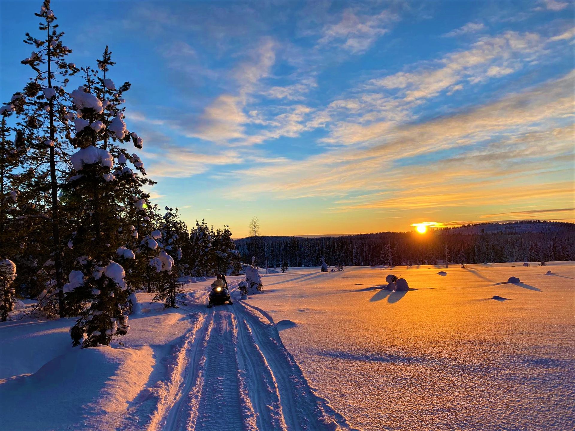 Snöskotersafari i väglöst land i Lappland