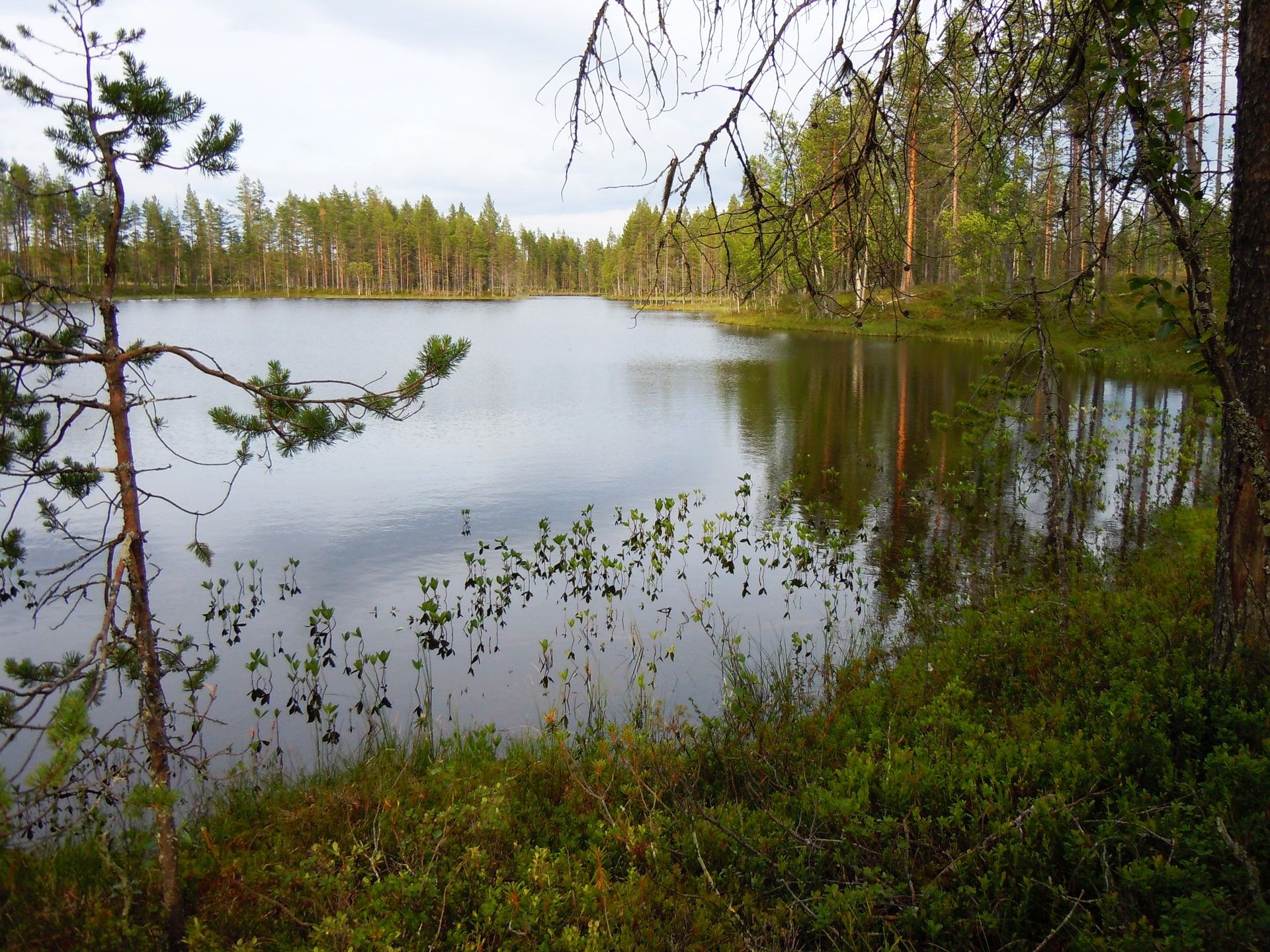 Fishing in a wilderness lake in Lapland