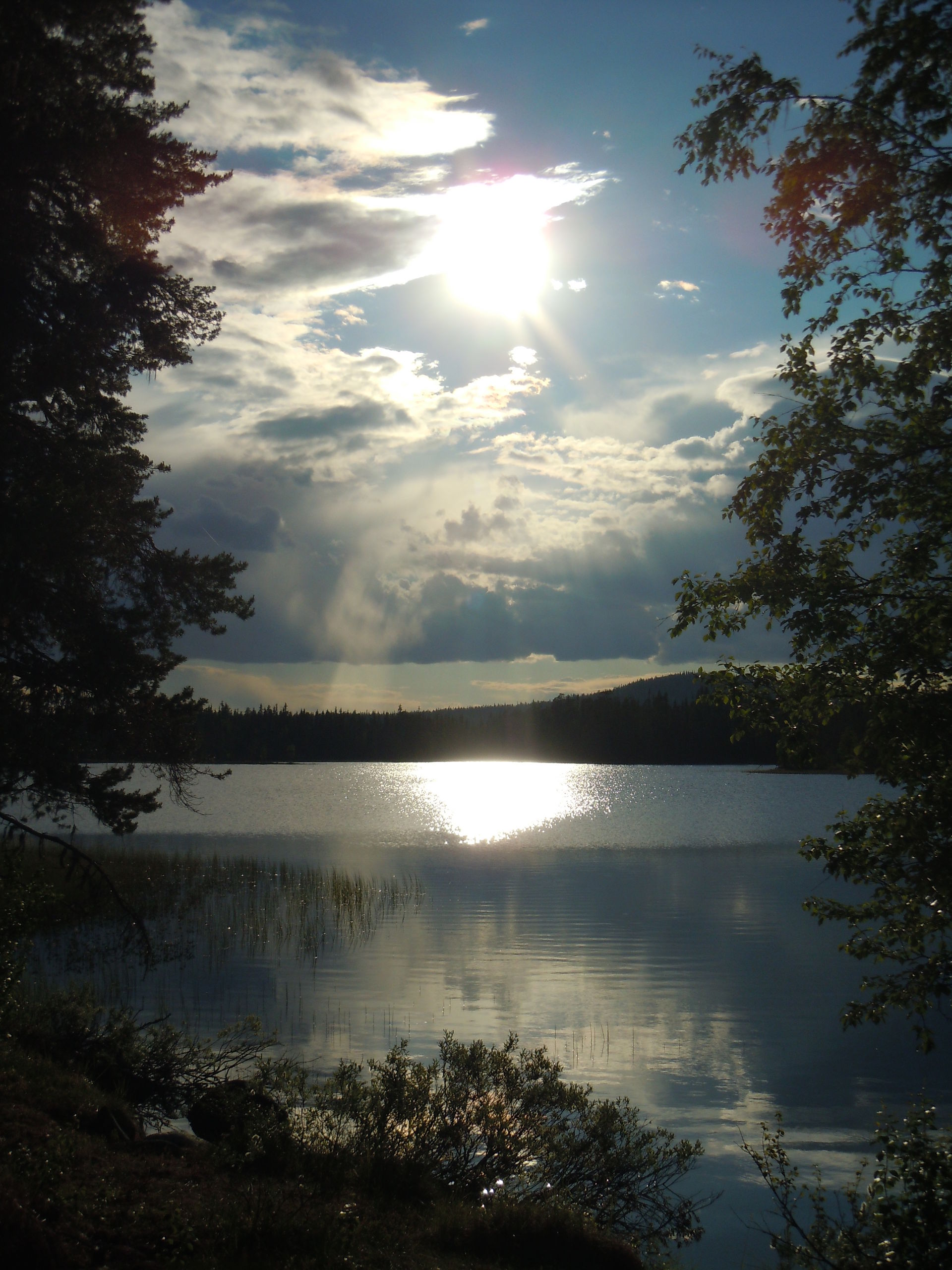 The nature surrounding the cottage