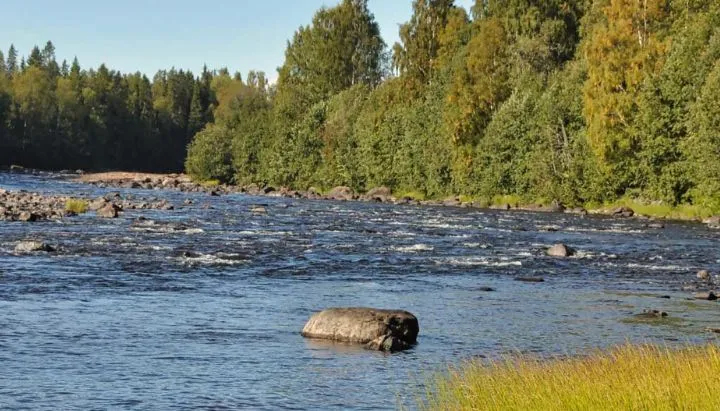 byskeälven-lappland