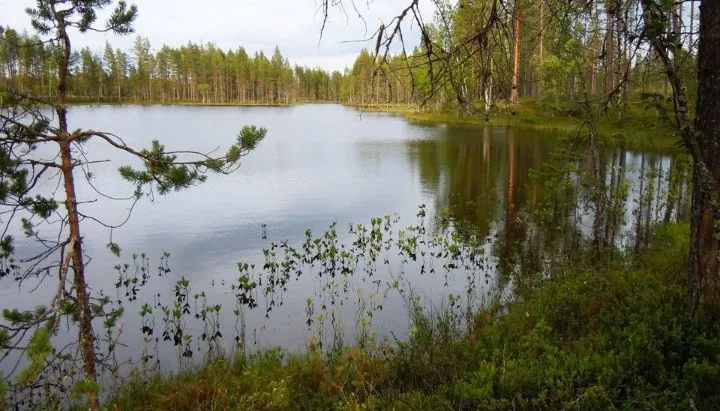 lodge-see-lappland