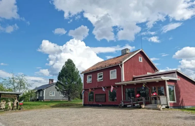 wildernesscafe