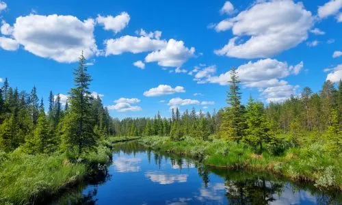 wildernesslife-sommer